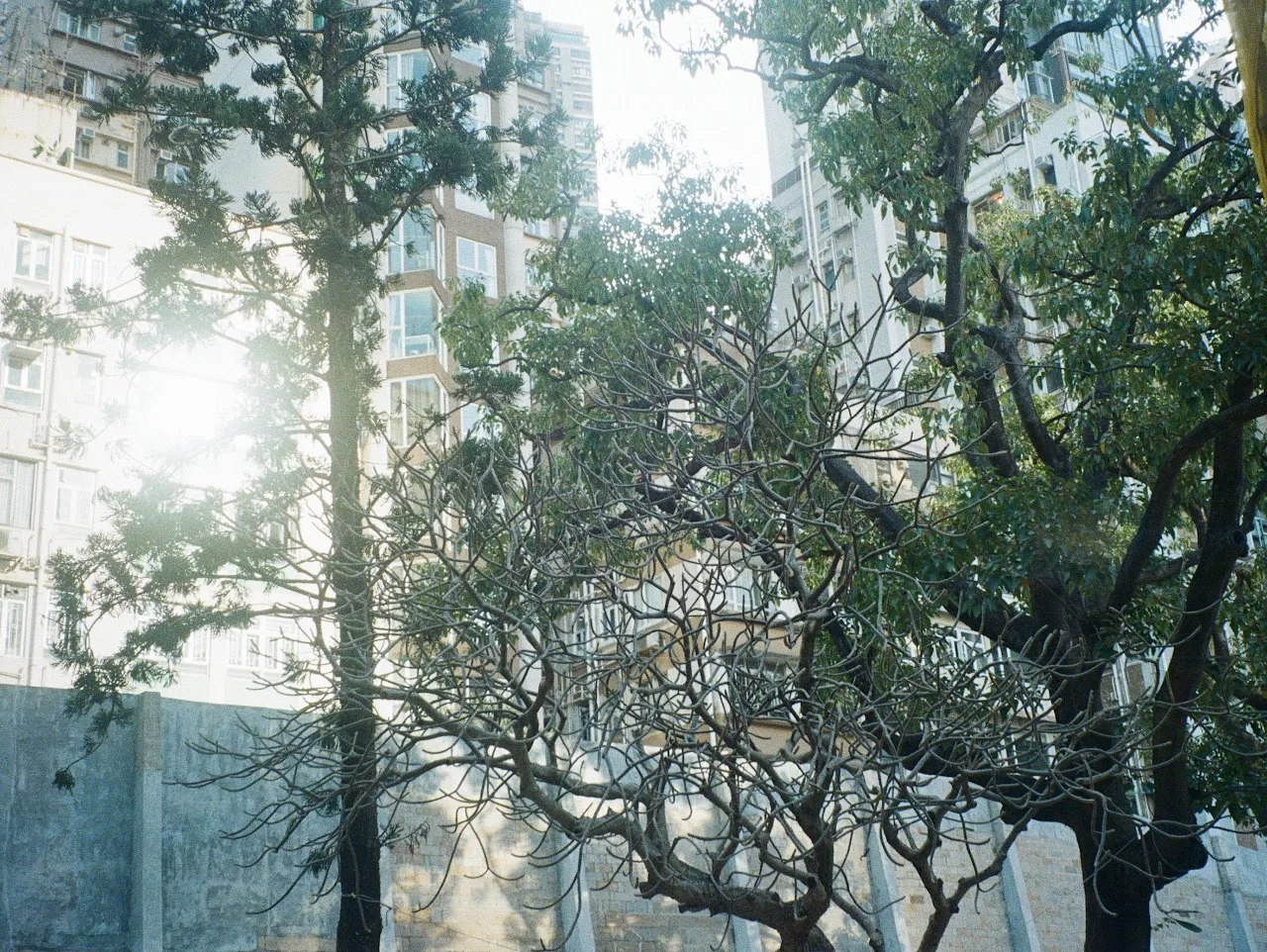 Film documentation view 8