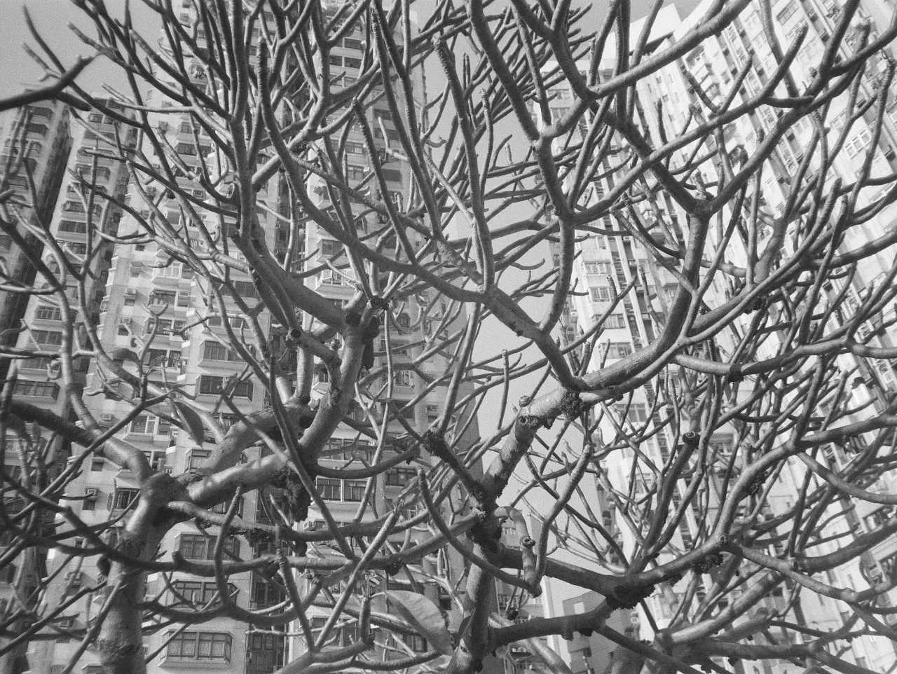 Film documentation view 23