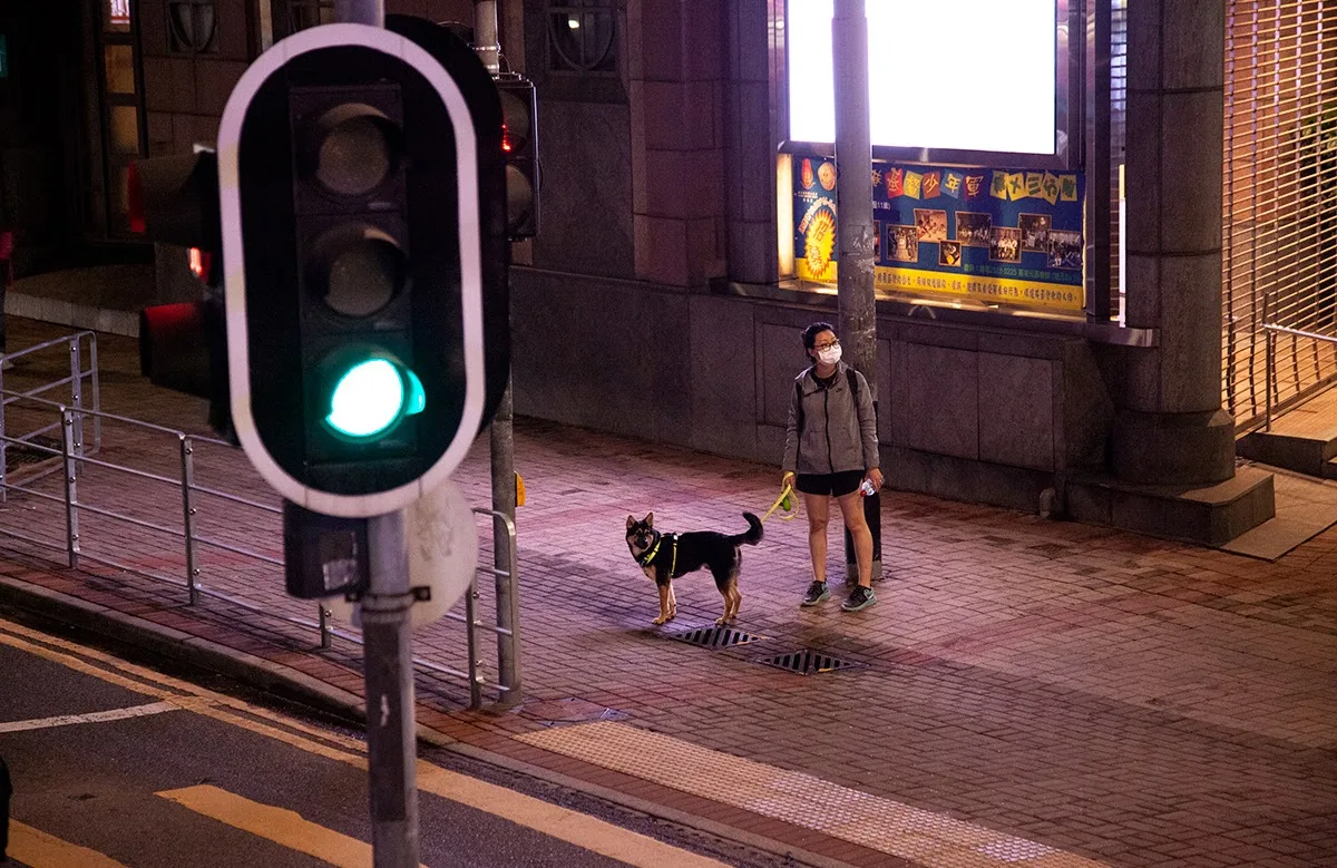 Night City documentation view 7