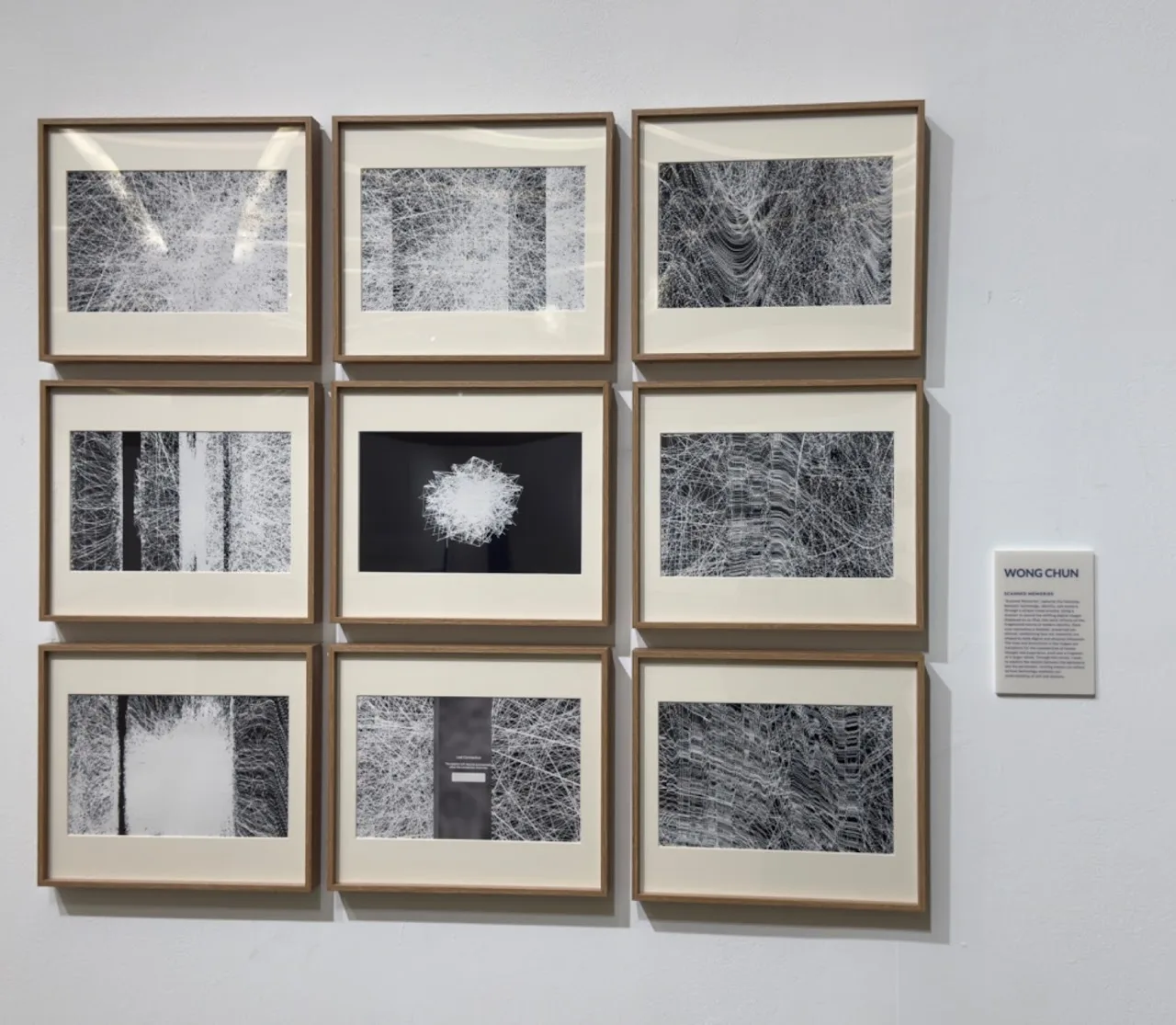 Nine framed monochrome generative images installed in a gallery.